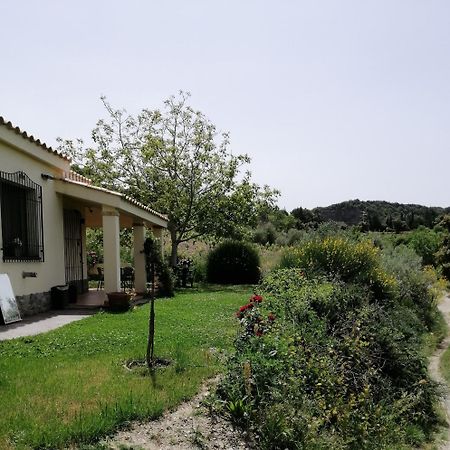 S'Orrosa Casa Vacanze Bifamiliare In Montagna Panorama Stupendo Sardegna Seùlo Zewnętrze zdjęcie