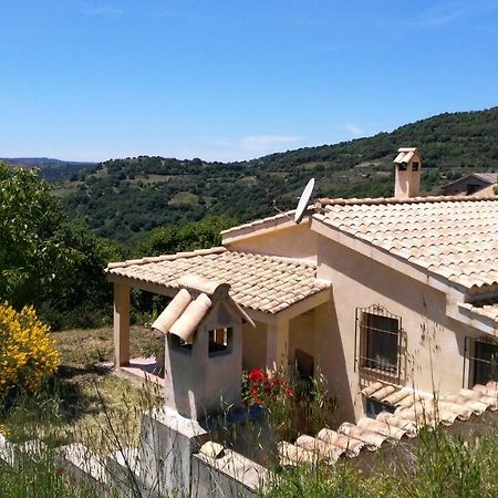 S'Orrosa Casa Vacanze Bifamiliare In Montagna Panorama Stupendo Sardegna Seùlo Zewnętrze zdjęcie