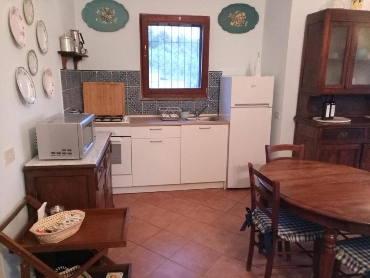 S'Orrosa Casa Vacanze Bifamiliare In Montagna Panorama Stupendo Sardegna Seùlo Zewnętrze zdjęcie