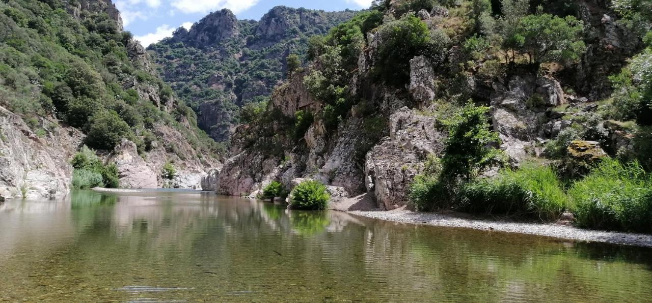S'Orrosa Casa Vacanze Bifamiliare In Montagna Panorama Stupendo Sardegna Seùlo Zewnętrze zdjęcie