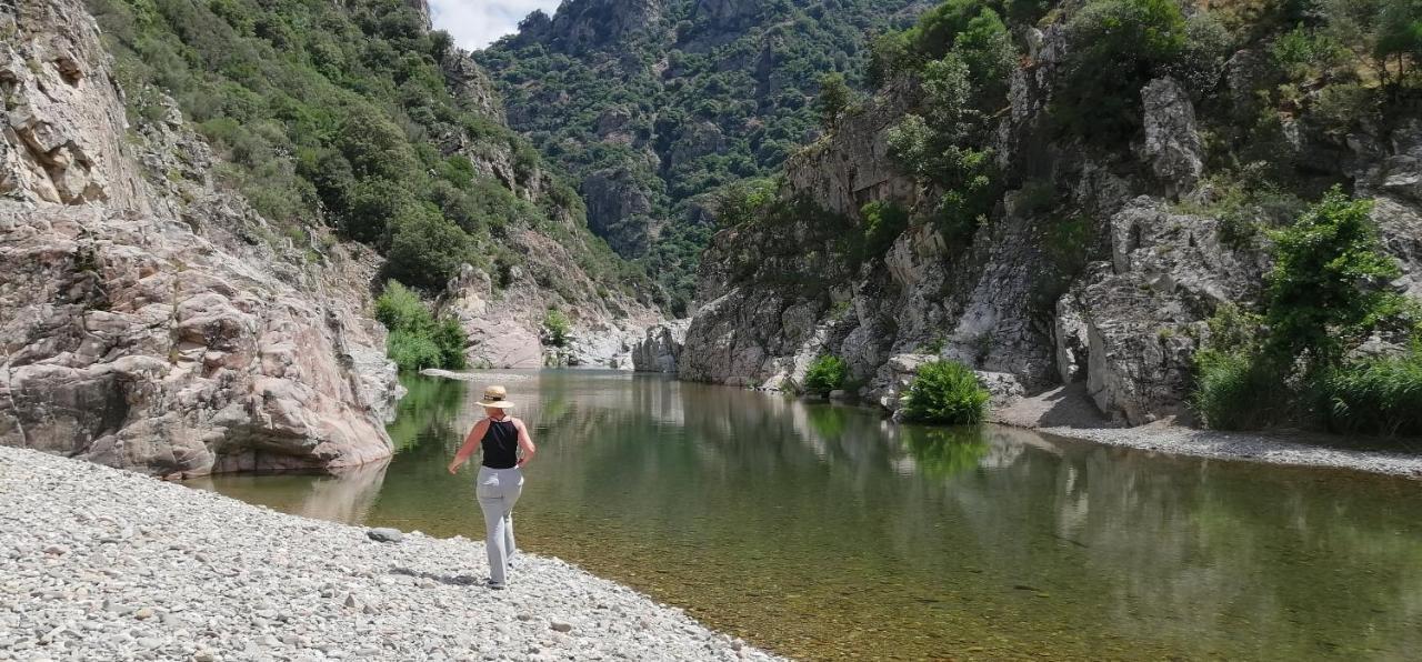 S'Orrosa Casa Vacanze Bifamiliare In Montagna Panorama Stupendo Sardegna Seùlo Zewnętrze zdjęcie