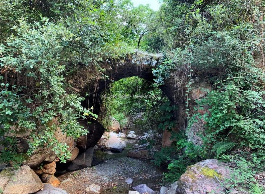 S'Orrosa Casa Vacanze Bifamiliare In Montagna Panorama Stupendo Sardegna Seùlo Zewnętrze zdjęcie