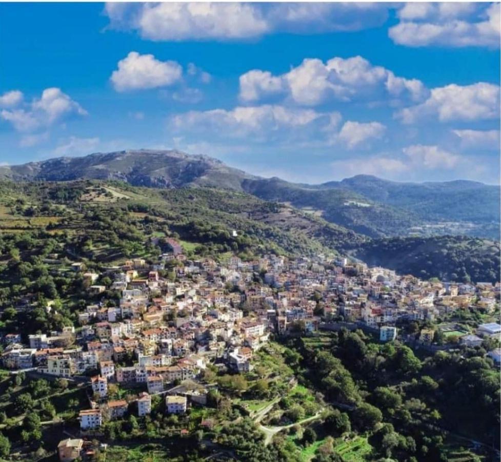 S'Orrosa Casa Vacanze Bifamiliare In Montagna Panorama Stupendo Sardegna Seùlo Zewnętrze zdjęcie
