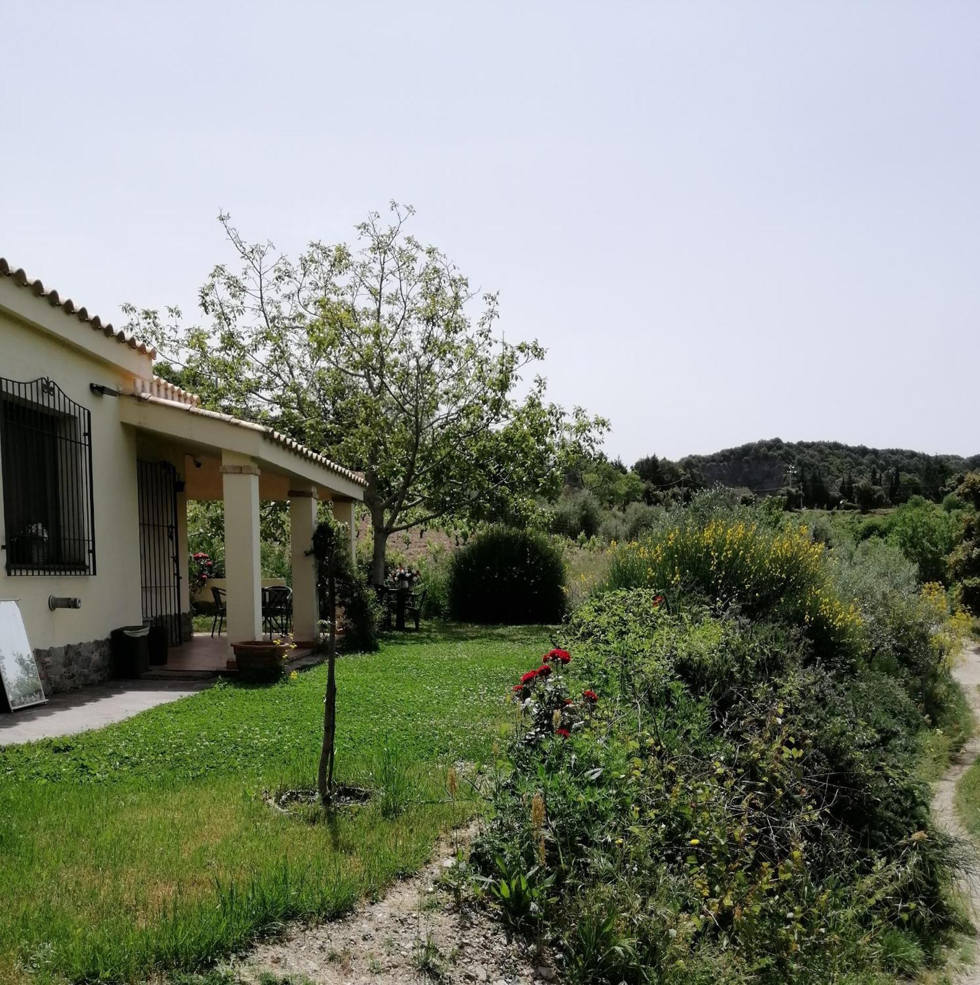 S'Orrosa Casa Vacanze Bifamiliare In Montagna Panorama Stupendo Sardegna Seùlo Zewnętrze zdjęcie