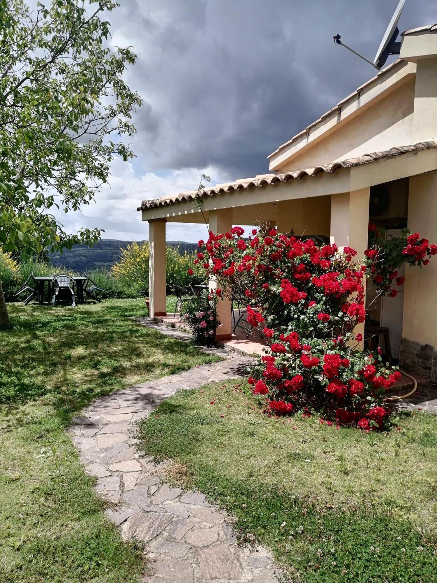 S'Orrosa Casa Vacanze Bifamiliare In Montagna Panorama Stupendo Sardegna Seùlo Zewnętrze zdjęcie