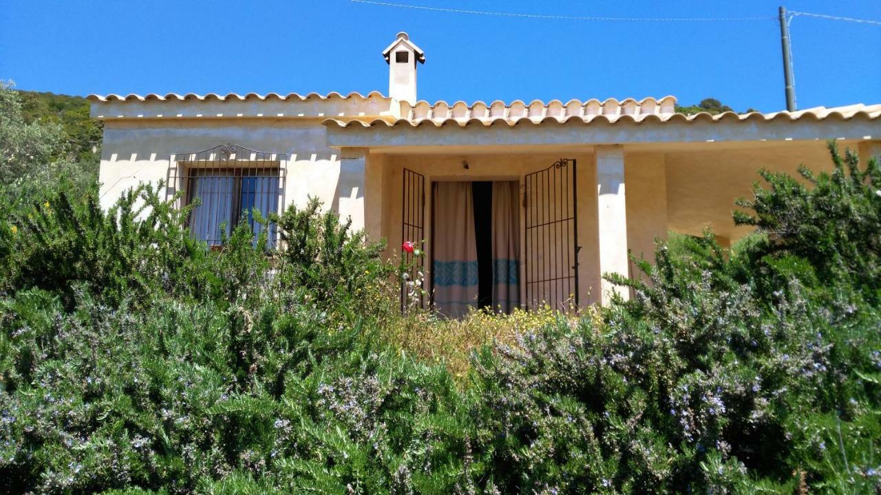 S'Orrosa Casa Vacanze Bifamiliare In Montagna Panorama Stupendo Sardegna Seùlo Zewnętrze zdjęcie