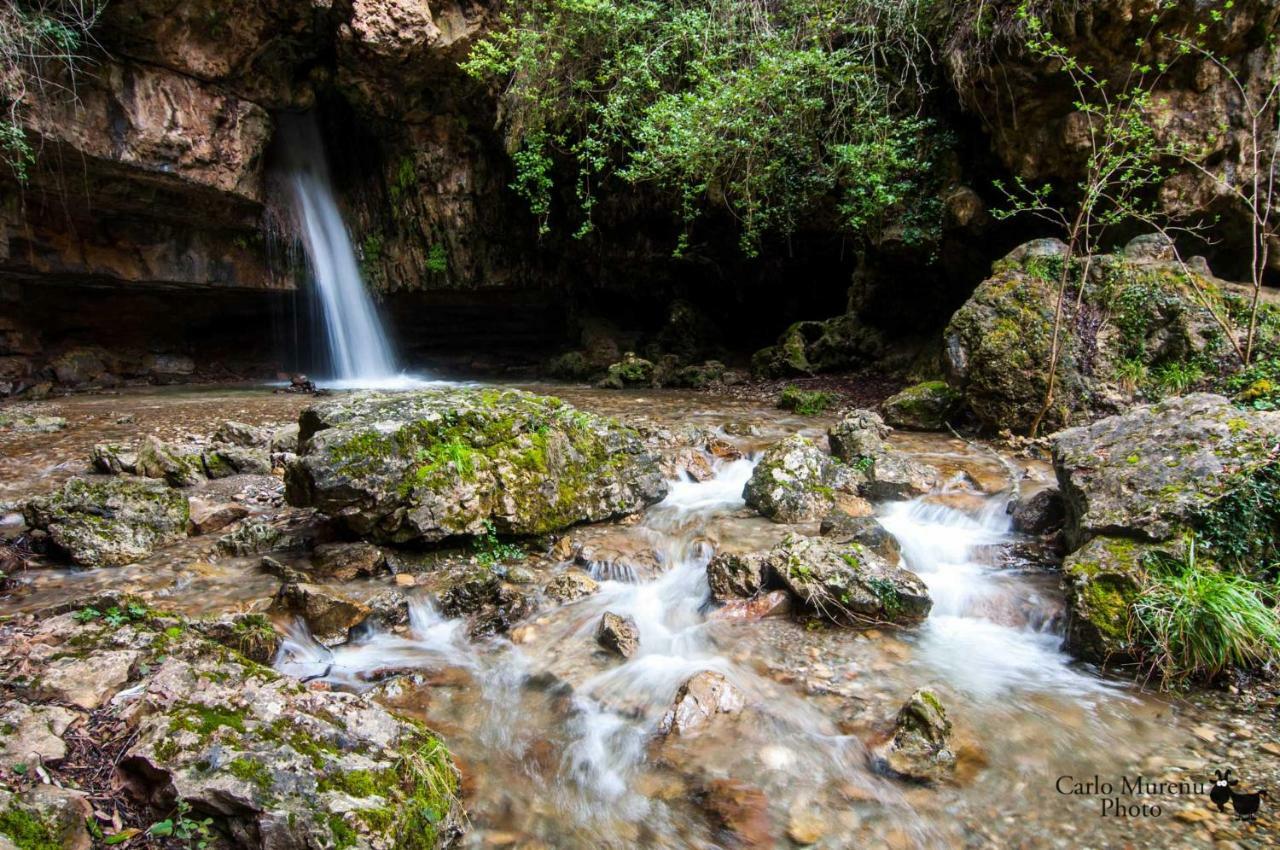 S'Orrosa Casa Vacanze Bifamiliare In Montagna Panorama Stupendo Sardegna Seùlo Zewnętrze zdjęcie
