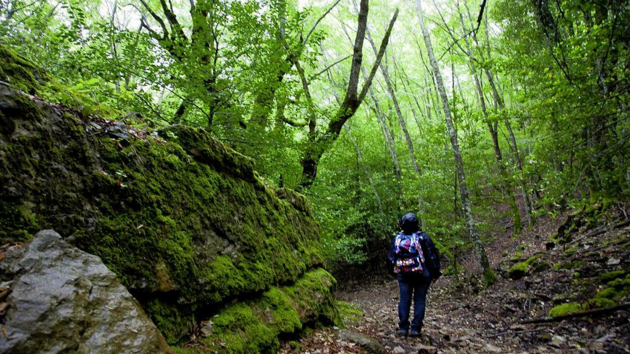 S'Orrosa Casa Vacanze Bifamiliare In Montagna Panorama Stupendo Sardegna Seùlo Zewnętrze zdjęcie