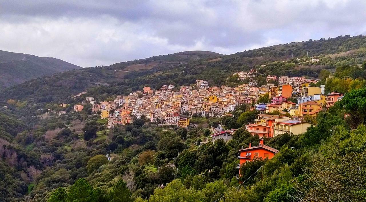 S'Orrosa Casa Vacanze Bifamiliare In Montagna Panorama Stupendo Sardegna Seùlo Zewnętrze zdjęcie