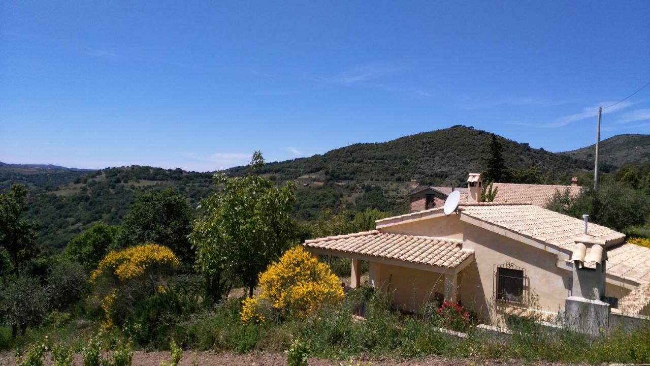 S'Orrosa Casa Vacanze Bifamiliare In Montagna Panorama Stupendo Sardegna Seùlo Zewnętrze zdjęcie