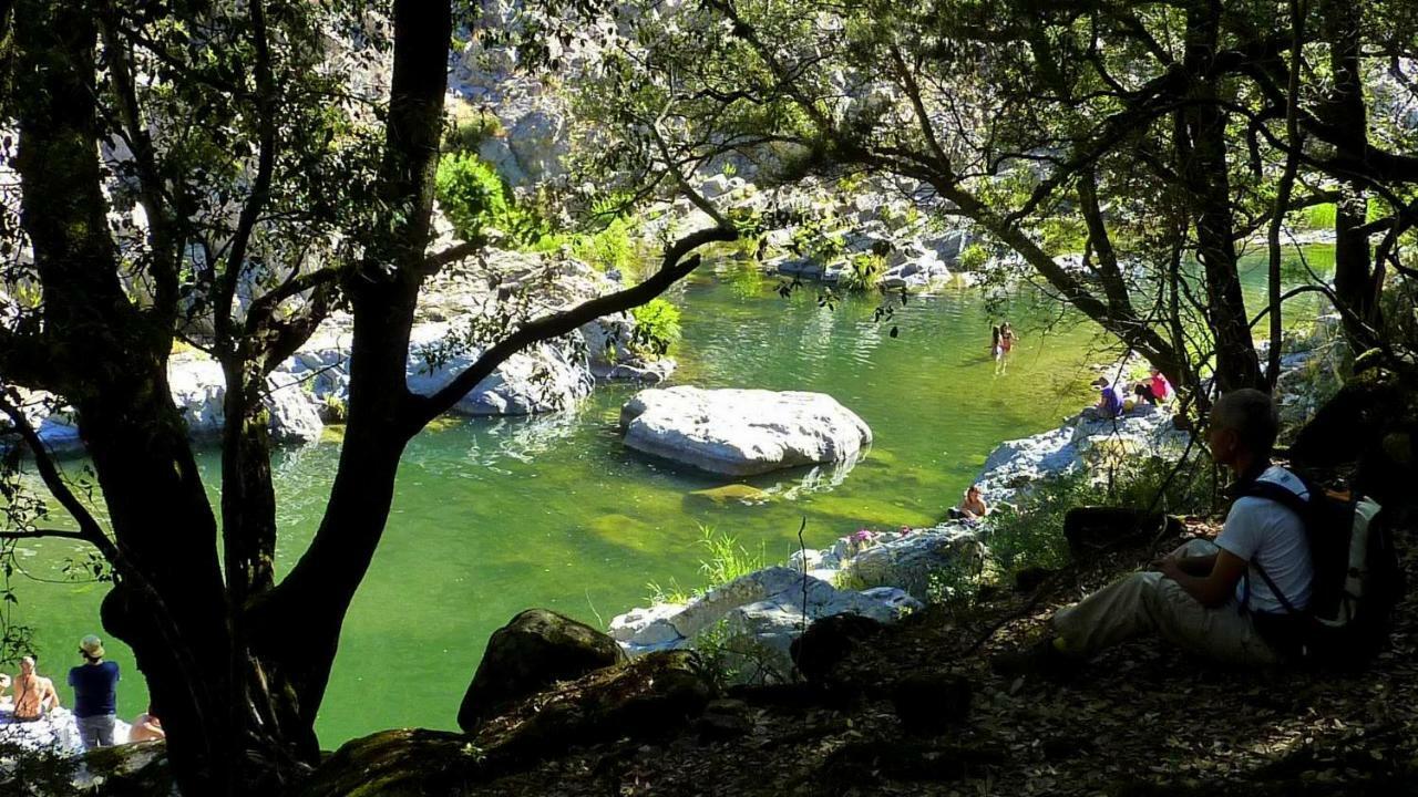S'Orrosa Casa Vacanze Bifamiliare In Montagna Panorama Stupendo Sardegna Seùlo Zewnętrze zdjęcie