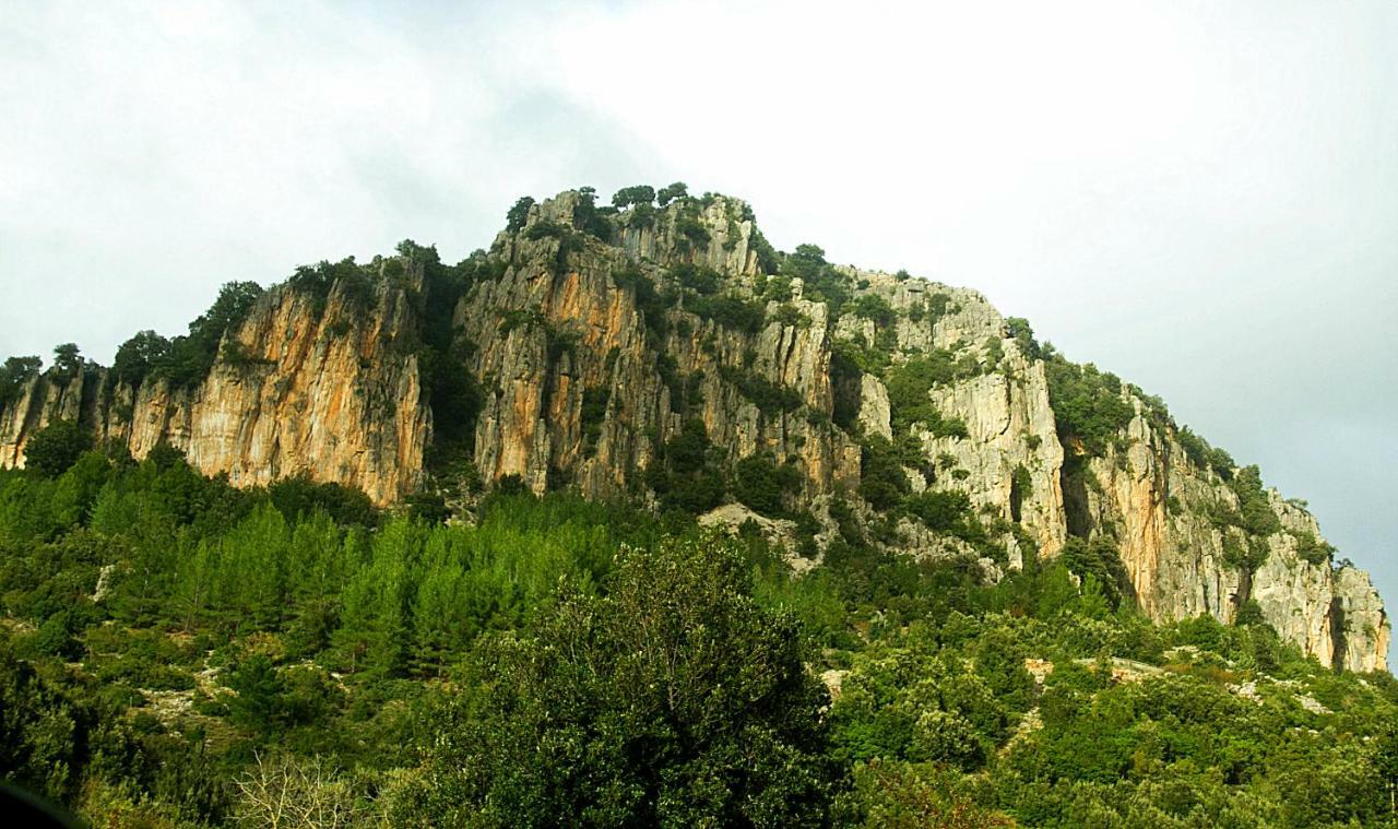 S'Orrosa Casa Vacanze Bifamiliare In Montagna Panorama Stupendo Sardegna Seùlo Zewnętrze zdjęcie